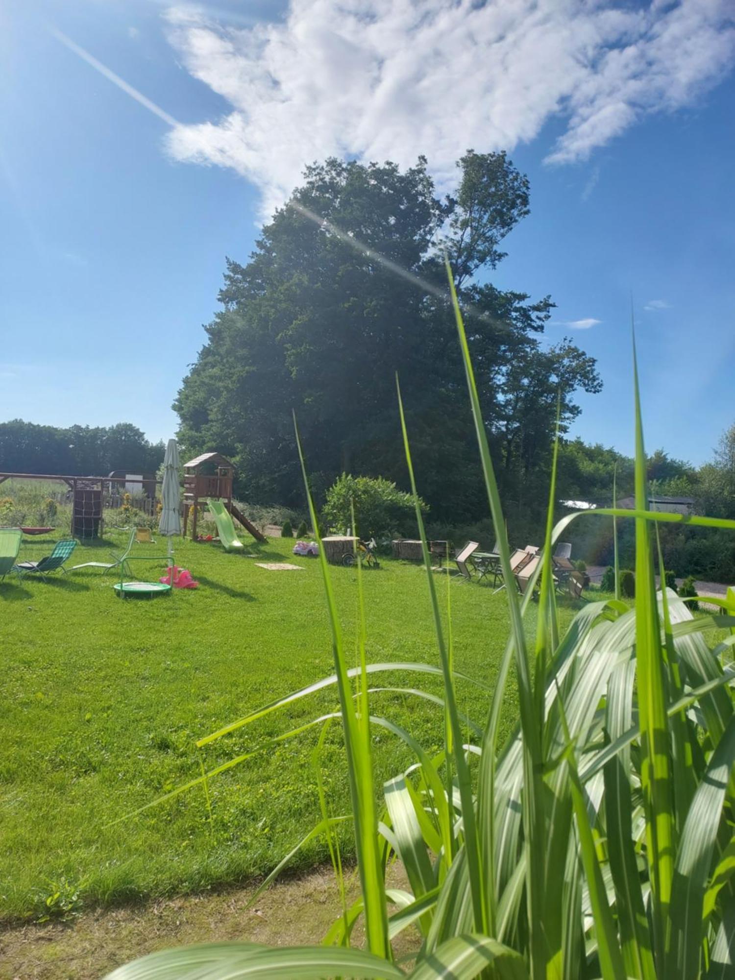 Paprotowka Apartament Wiosenny Paprotno Exteriér fotografie